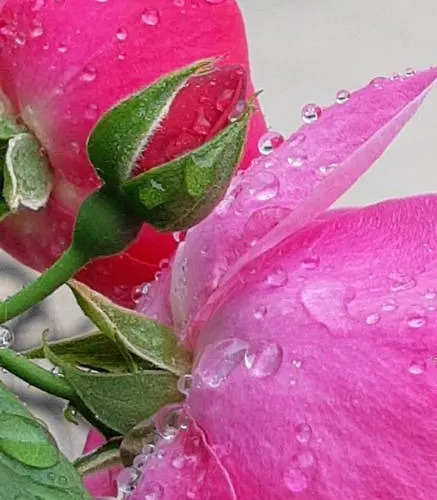 Tanja Apartamento Trogir